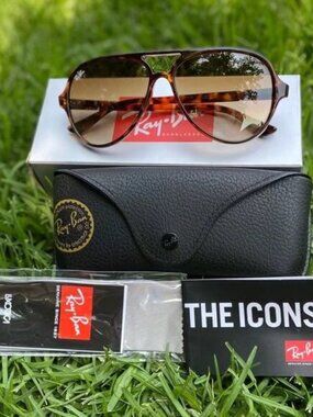Ray-Ban RB4125 Tortoiseshell Polarized Sunglasses